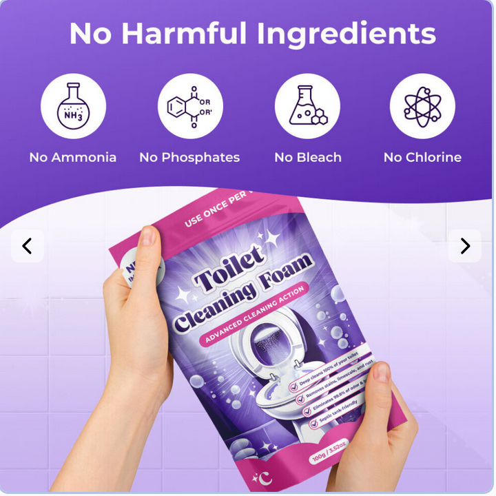 Screenshot 2026-01-07 at 10-50-27 FizzClean Fast‑Acting Toilet Cleaner